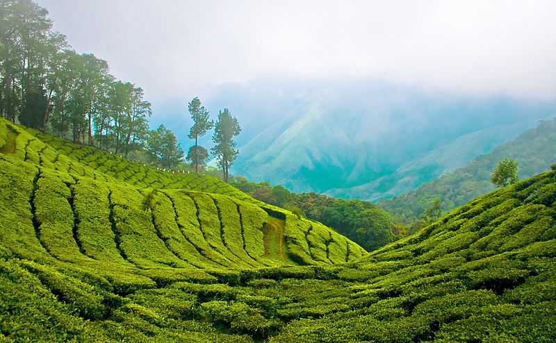 Best of South India Tour